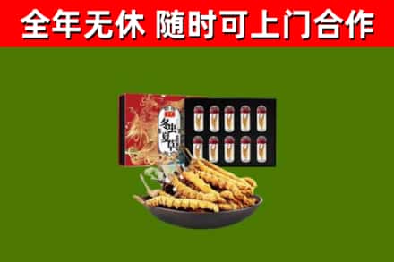 大连市回收冬虫夏草价格