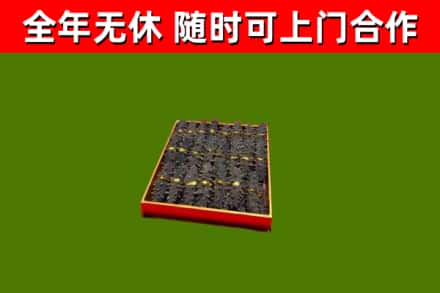 大连市回收海参